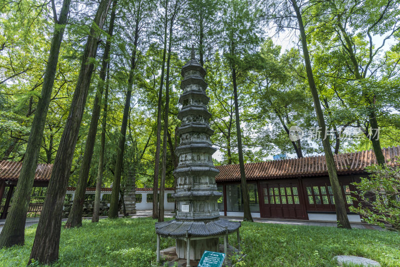 武汉江岸区解放公园风景