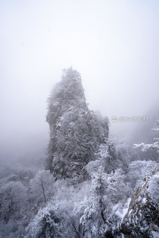 老君山下雪大山森林雾凇景观