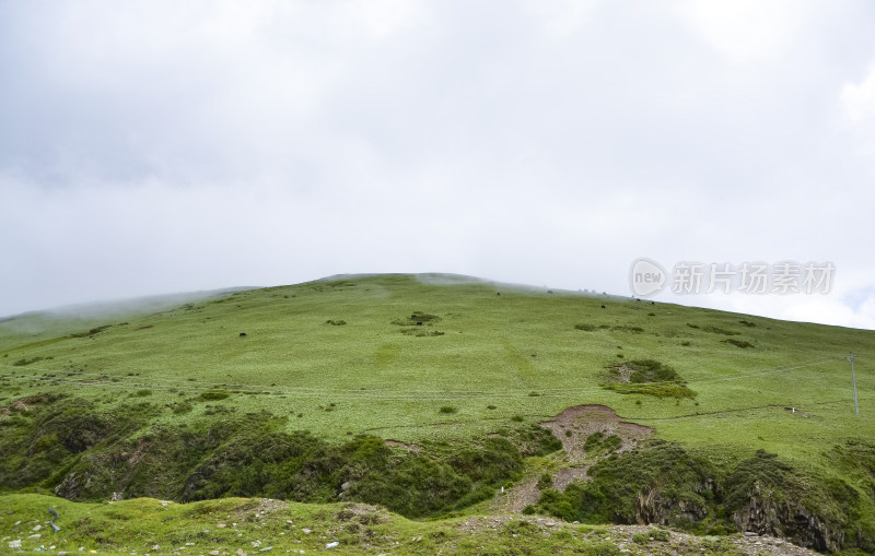 四川甘孜藏族自治州雅江高尔寺山草原草地