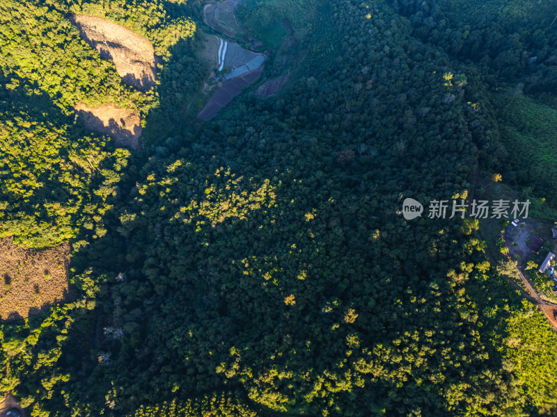 航拍绿意盎然的连绵起伏的山地景色