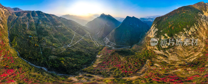 三峡红叶