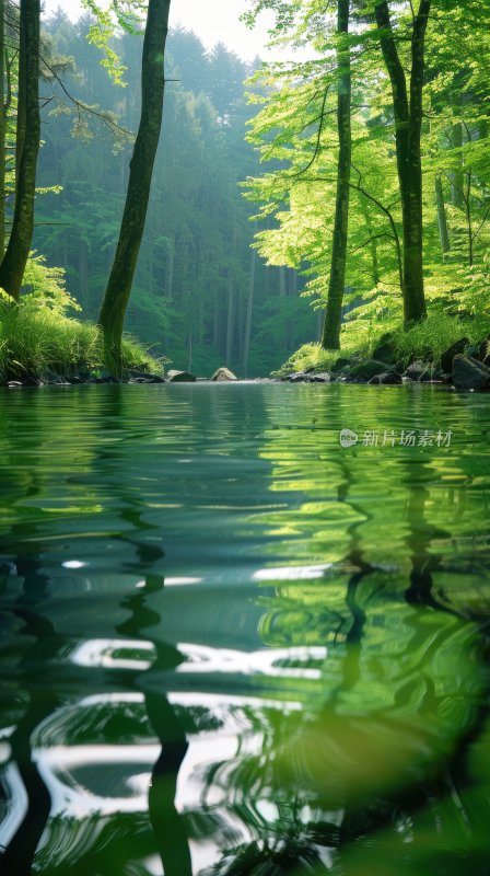 水面湖泊绿色自然宁静森林湖面背景