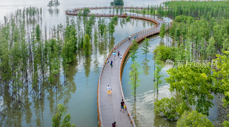 武汉江滩夏季湿地公园水上栈道