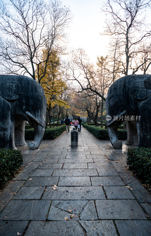 南京明孝陵石象路神道