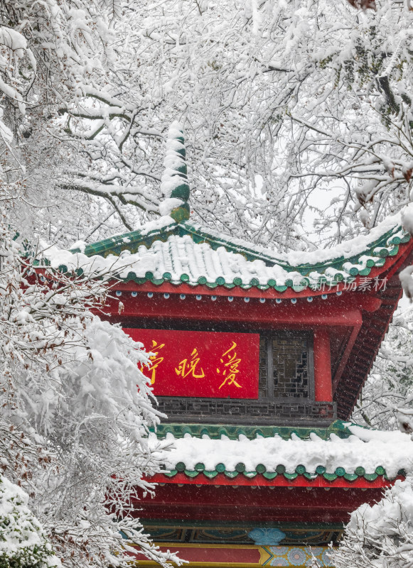 爱晚亭雪景