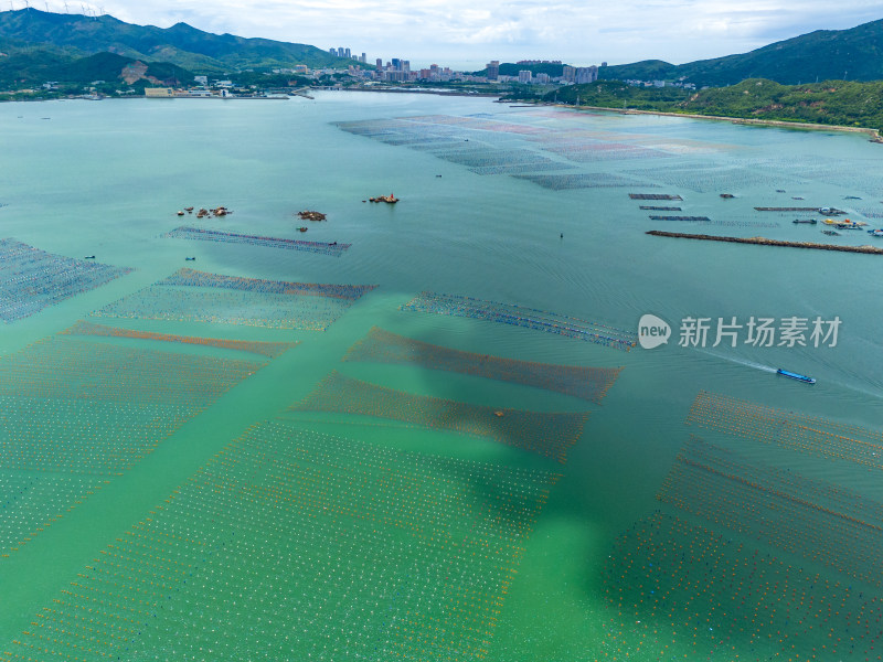 海上海鲜养殖基地航拍图