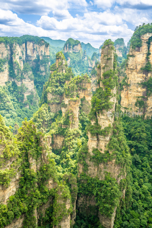 中国湖南张家界景区奇特山峰与茂密森林