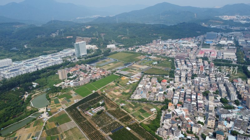 广东东莞：村庄附近的农田