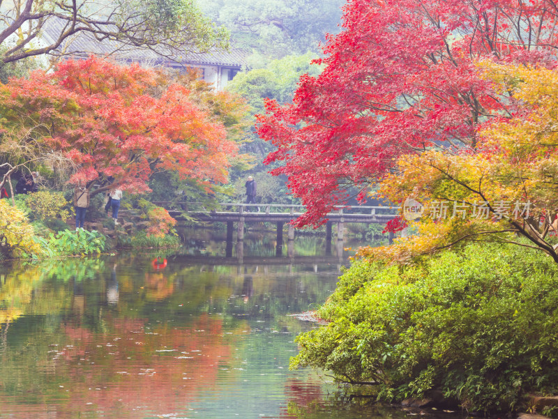 杭州九溪烟树景区红枫风光