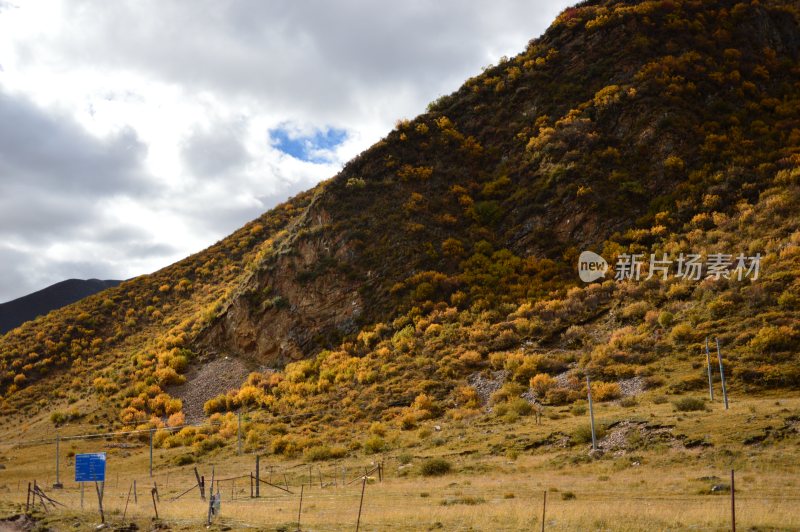 西藏沿路风景