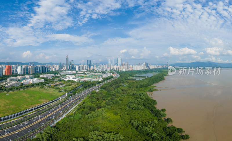 航拍广东深圳滨海大道福田红树林全景