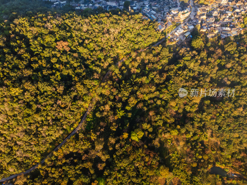 航拍景迈山云雾缭绕的村庄古寨自然风光