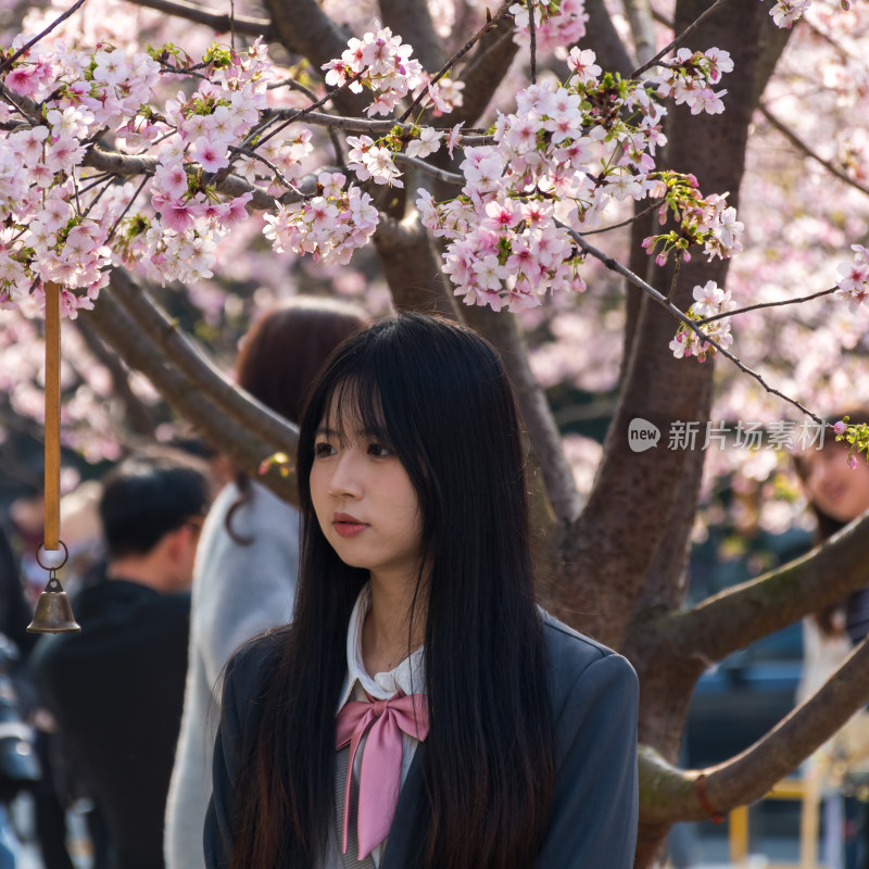 女孩于樱花树下的青春模样