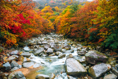 四川光雾山溪流风光