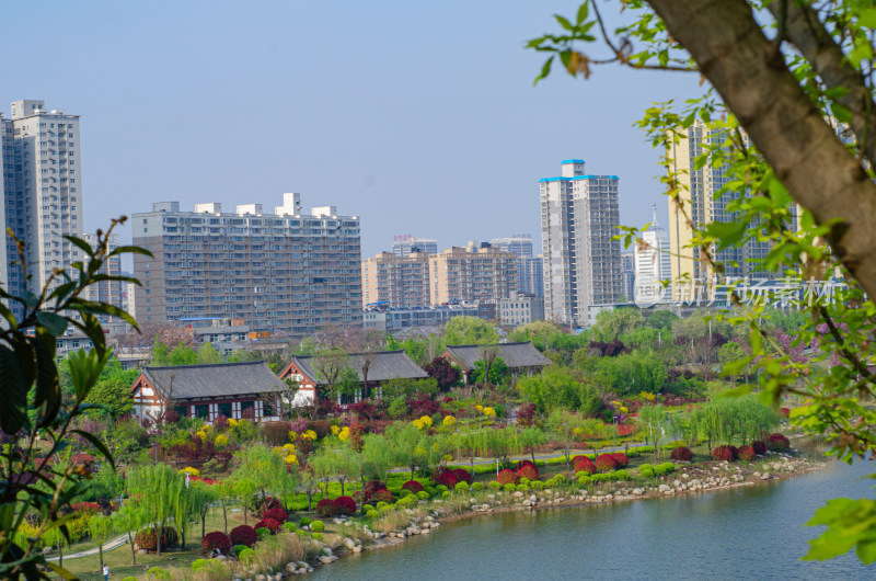 春天的渭南南湖公园湖上风景