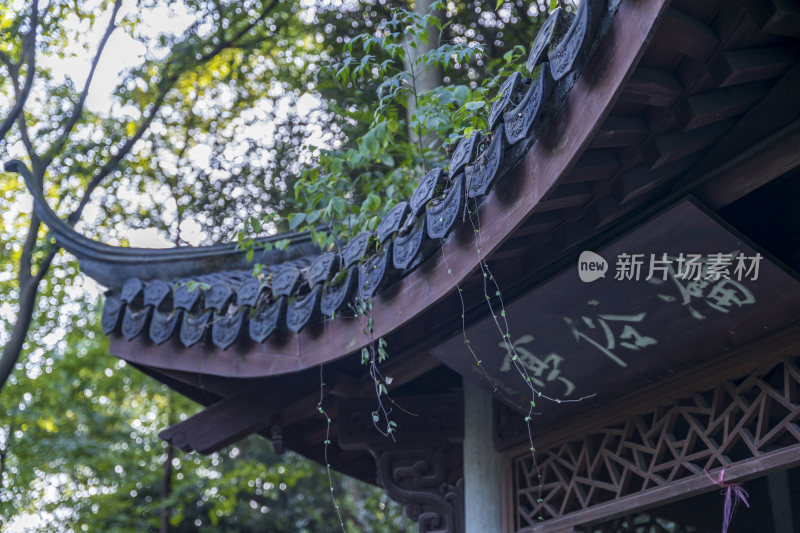 杭州宝石山景区栖霞洞景点