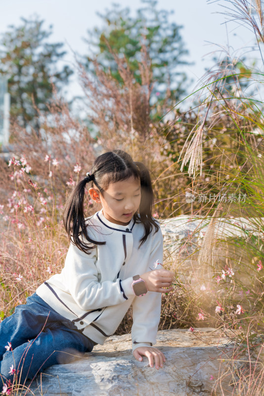 秋天在公园花丛中游玩中国女孩