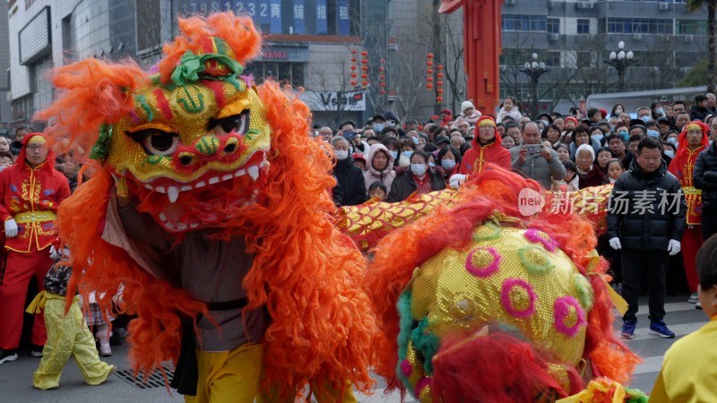 节日舞狮庆祝狮舞