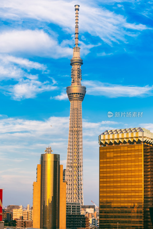 日本东京著名地标建筑东京天空树晴空塔