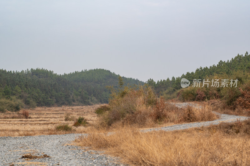 荒凉的野外土路周边的自然景色