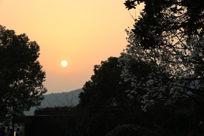 夕阳下树木与远山景色