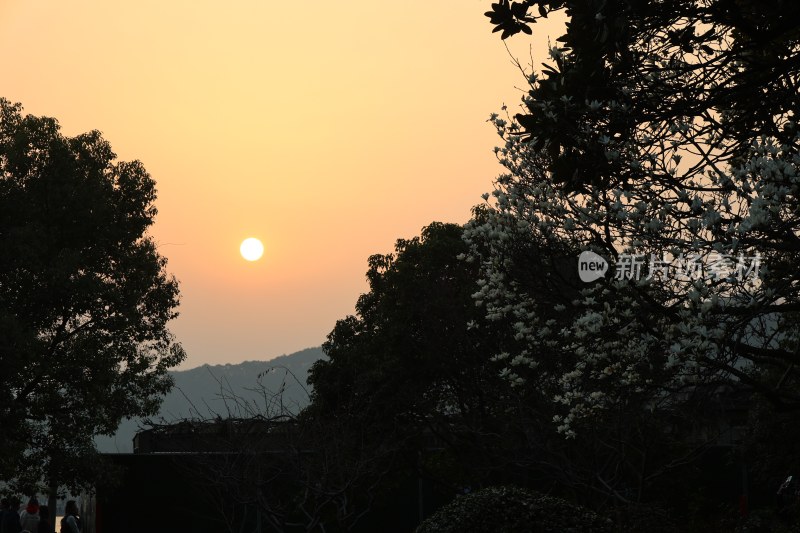 夕阳下树木与远山景色