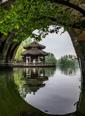 杭州西湖茅家埠黛色参天自然风景景观