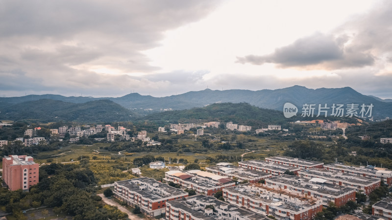 仰恩大学