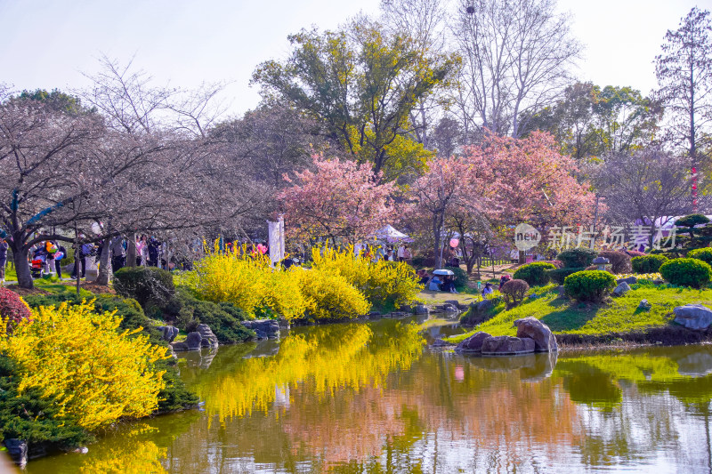 春日公园美景