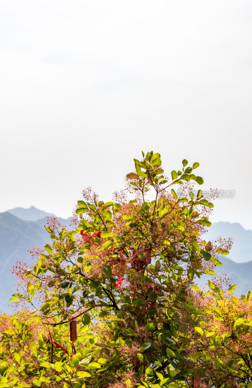 西安秦岭终南山南五台自然风光景点景观