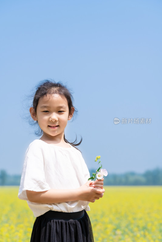 夏天站在油菜花田边拿着野花的女孩