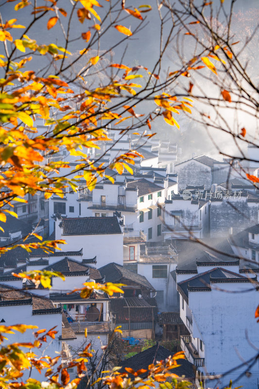 航拍江西婺源石城徽派建筑秋色枫叶村庄日出