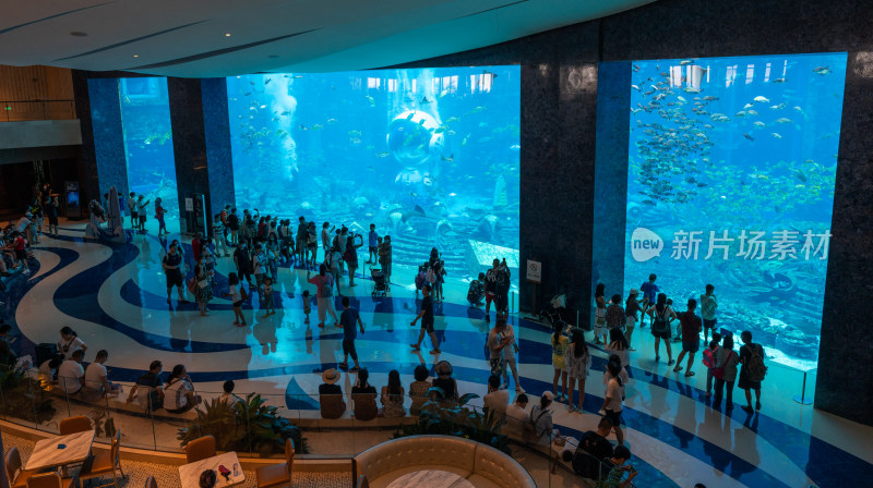 亚特兰蒂斯酒店水族馆