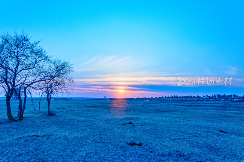 内蒙古呼伦贝尔海拉尔草原日落夕阳与枯树