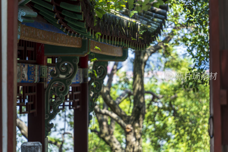 武汉汉阳晴川阁古建筑风景