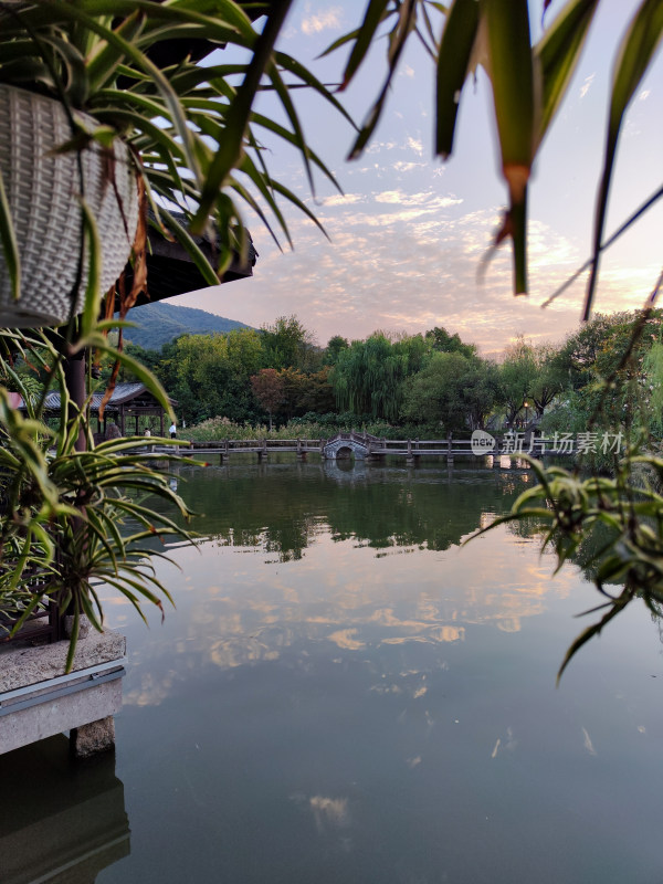 杭州湘湖畔桥景与绿植特写