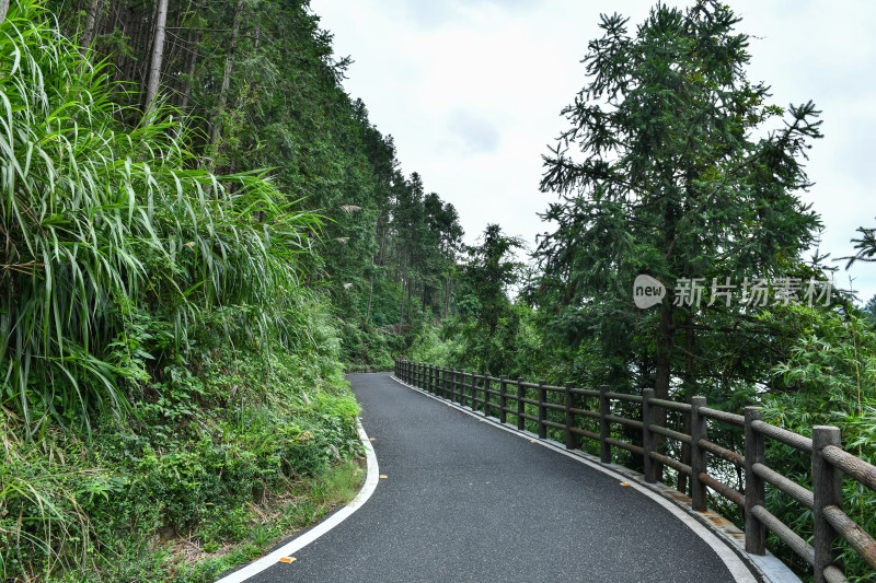 绿色步道，生态环境