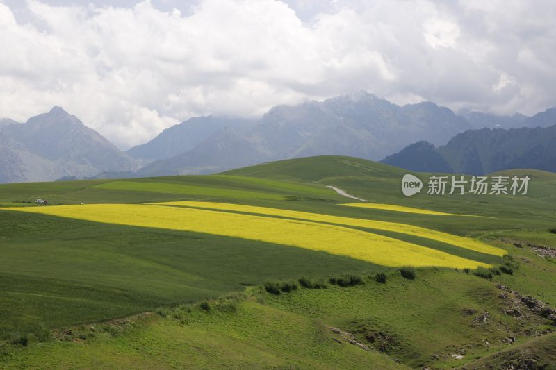 山间多彩田野自然风光全景