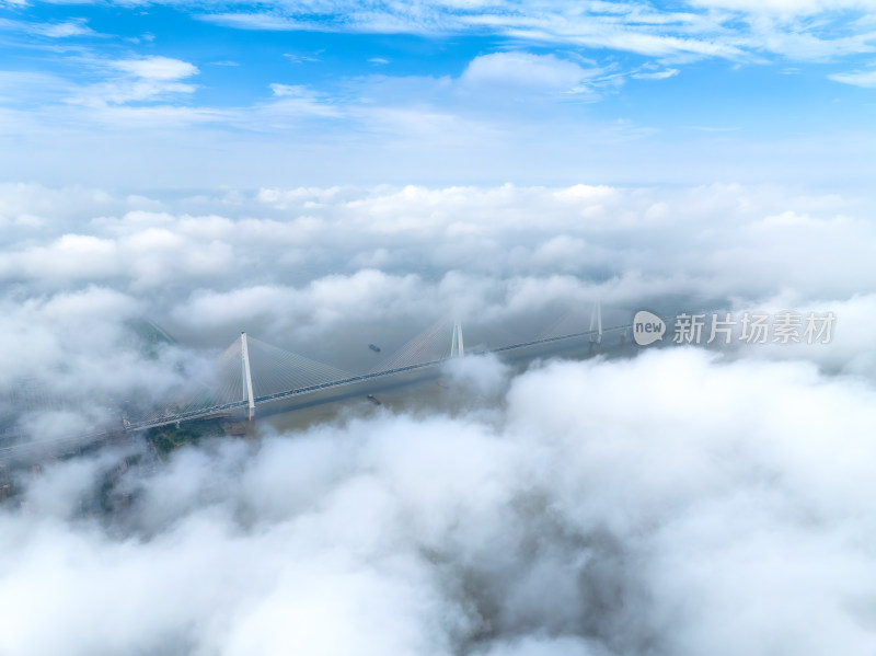 航拍夏季武汉暴雨后云雾中的城市风光