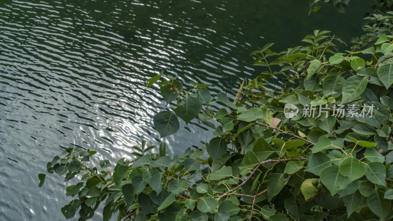 桐庐芦茨风情小镇风景