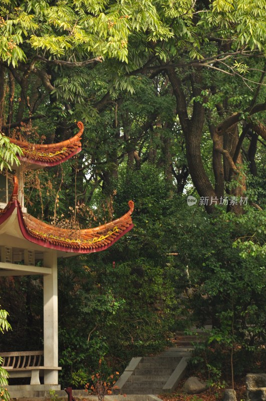 长沙风光  长沙街景 长沙城景  自然风景