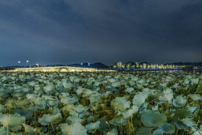 杭州西湖断桥景点夜景