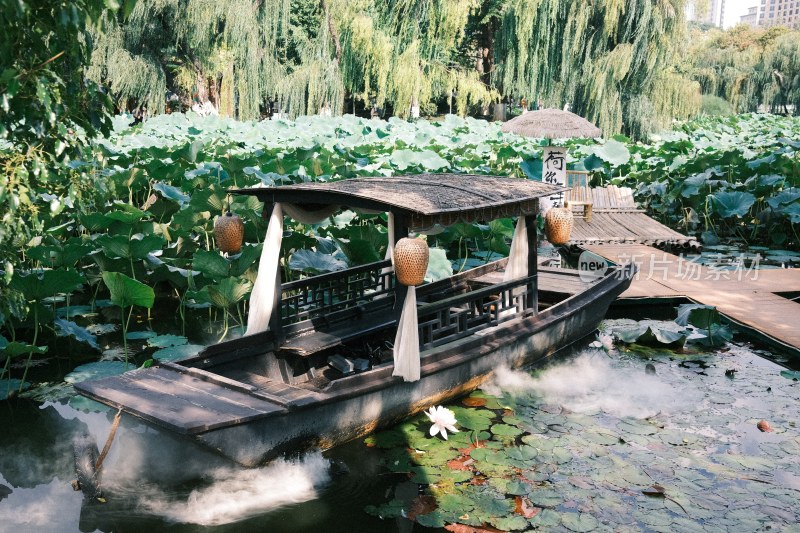 昆明翠湖池塘照