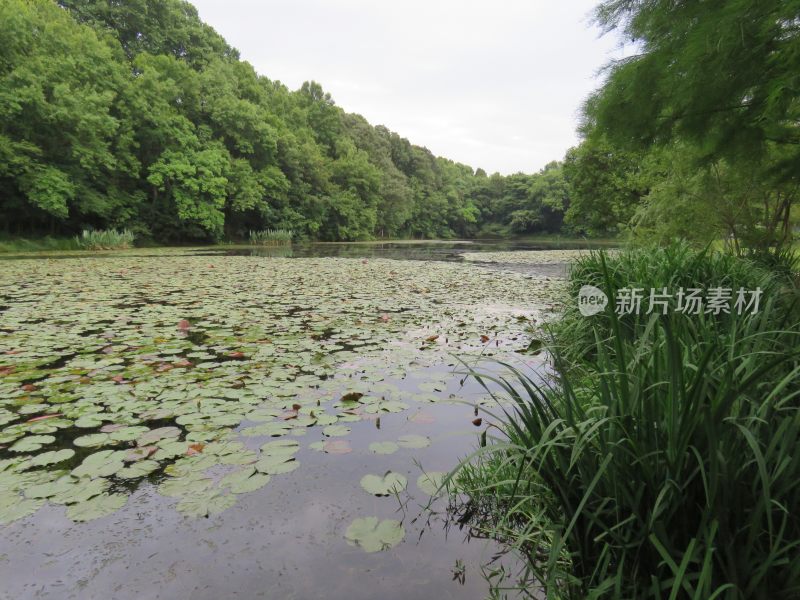 南京紫金山音乐台景区风景