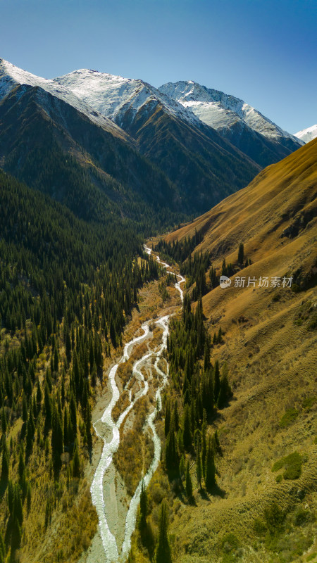 航拍雪山森林河谷自然风景