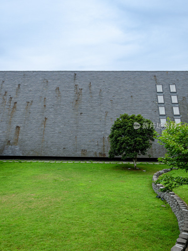 带绿植草地的灰色混凝土建筑外观