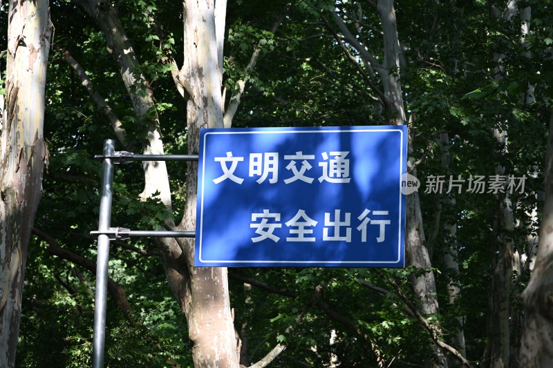 树林中的文明交通宣传牌