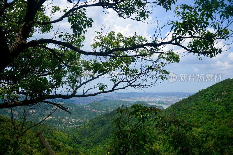 山中的风景