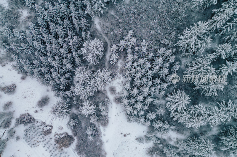 西北张掖雪景