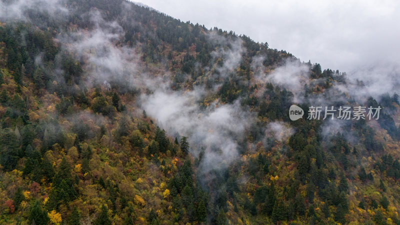 阿坝州黄龙风景名胜区秋色